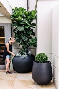 Potted plants outdoor space