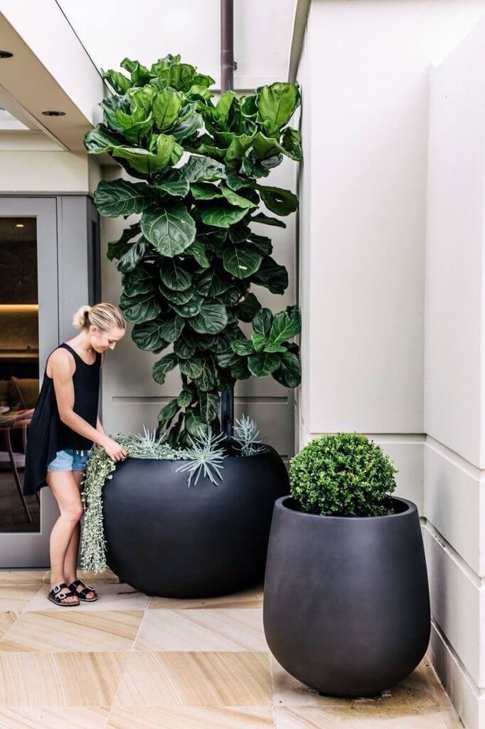 Potted plants outdoor space