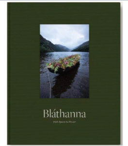 Christmas gift - Blathanna