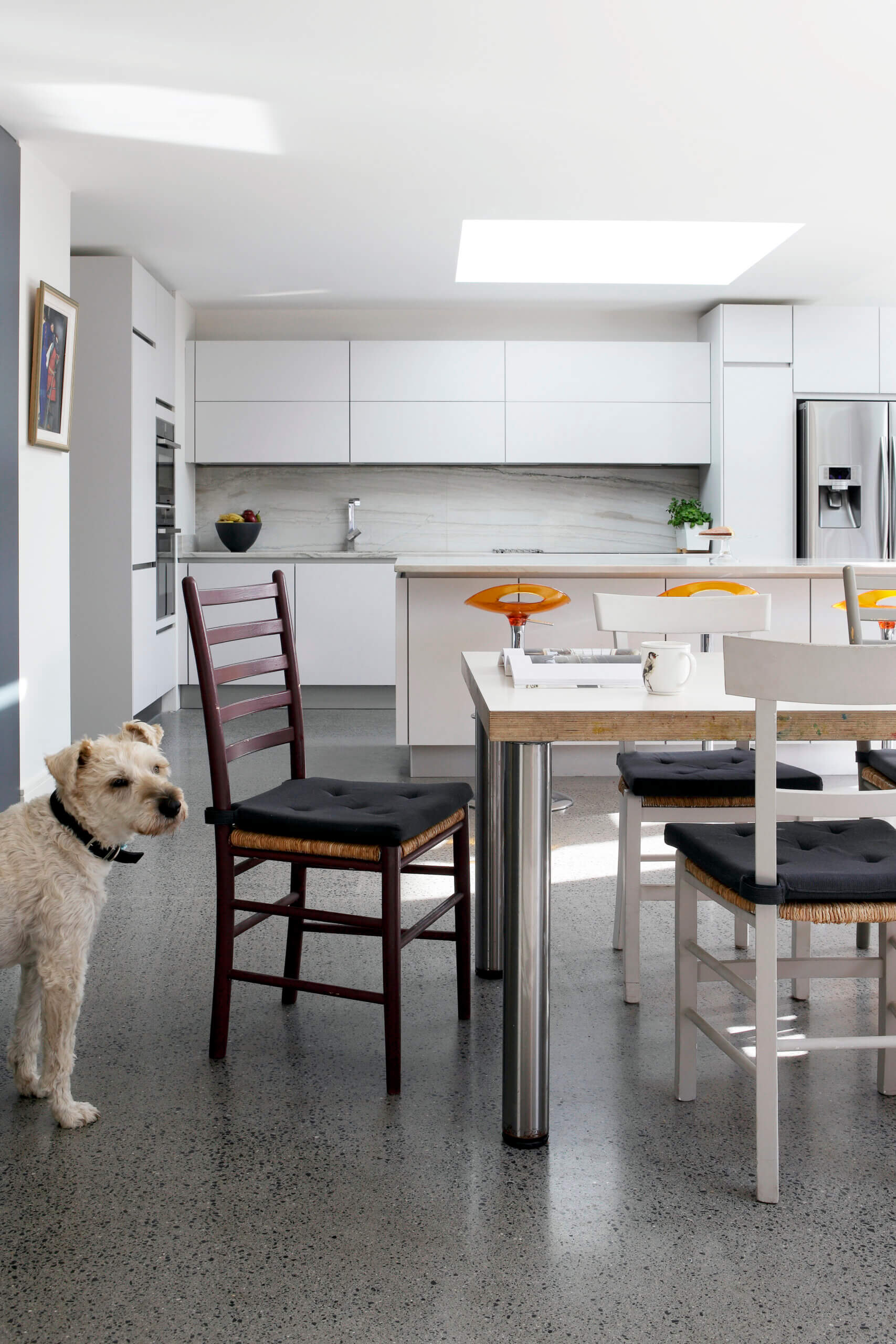 Pet-Proofing Your Home with Style: Easy Tips for a Beautiful and Functional Space